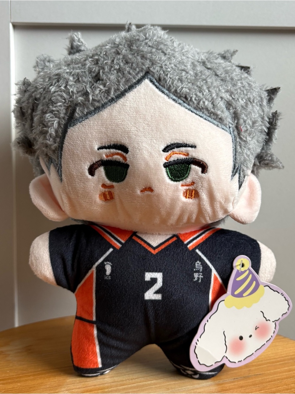 Haikyu!! Sugawara Plush Mascot Doll Karasuno Sugawara Koushi